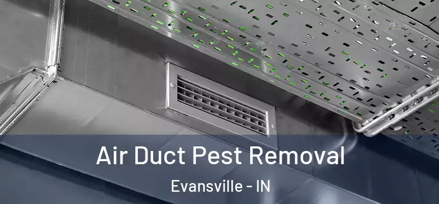 Air Duct Pest Removal Evansville - IN