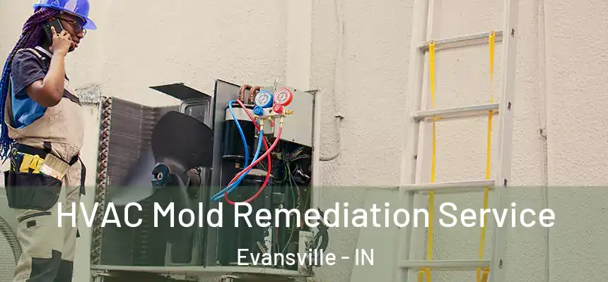 HVAC Mold Remediation Service Evansville - IN