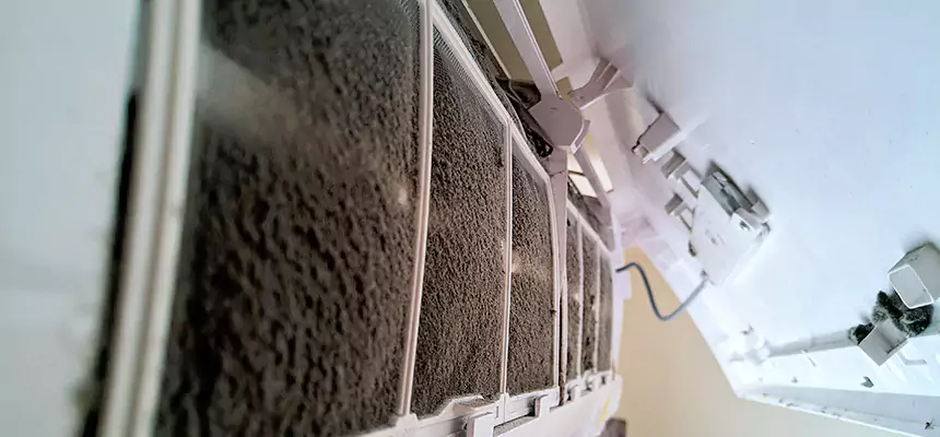 Preventive Air Duct Bacteria Removal in Evansville