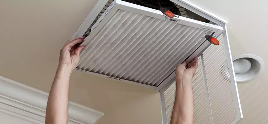 Preventive Cockroach-Proofing for Ducts in Evansville