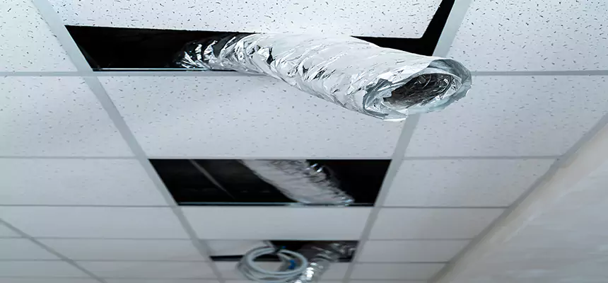 Our Air Duct Pet Hair Removal Services in Evansville, IN