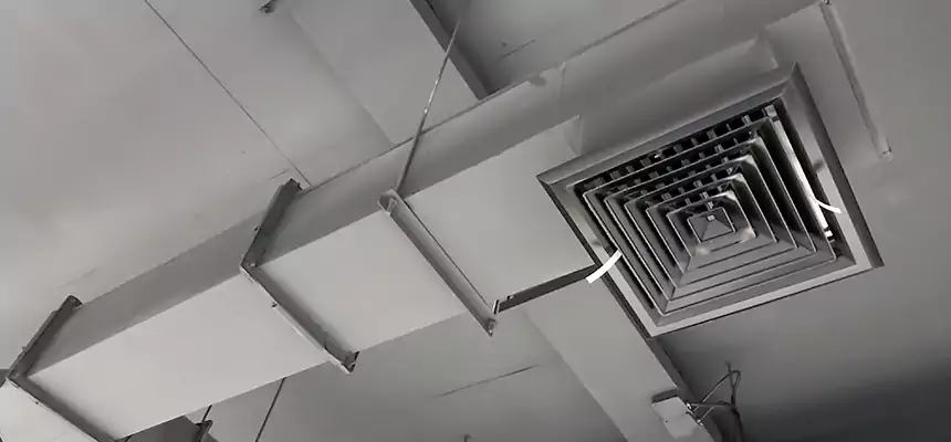 Our Rodent Droppings In Vents Services in Evansville, IN