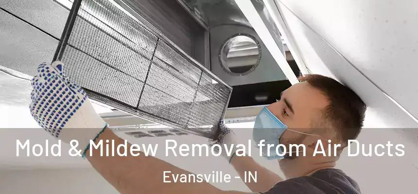  Mold & Mildew Removal from Air Ducts Evansville - IN