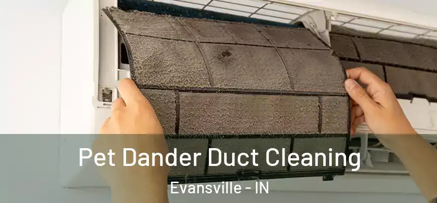 Pet Dander Duct Cleaning Evansville - IN
