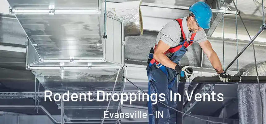  Rodent Droppings In Vents Evansville - IN