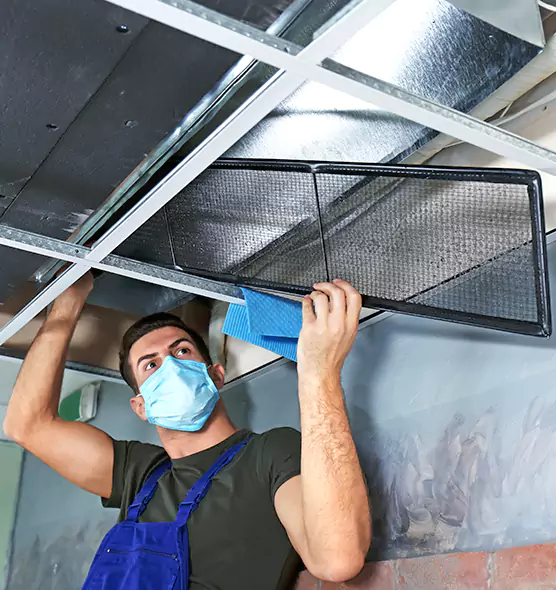 About Air Duct Bacteria Removal in Evansville