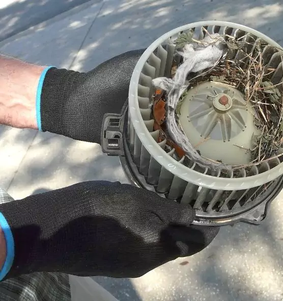 About Air Duct Mice Removal in Evansville, IN