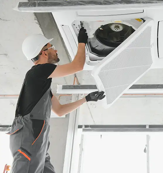 About Air Duct Rodent Removal in Evansville, IN