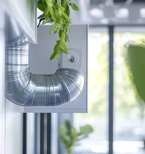 Professional Eco-Safe Dryer Vent Cleaning in Evansville, IN