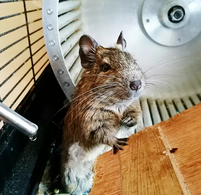 Why Homeowners & Businesses Trust Us Evansville, IN