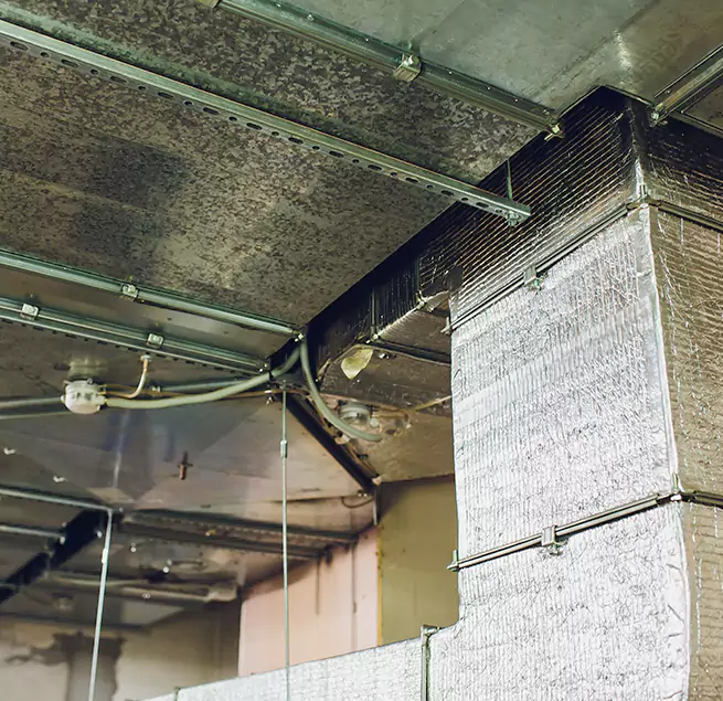 Why Homeowners & Businesses Trust Us in Evansville, IN?